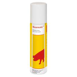 Kanszag spray 80 ml (Antec Boarmate)
