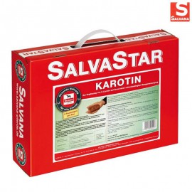 Salvana Salvastar Karotin termékenység fokozó vitamin brikett (5 kg)